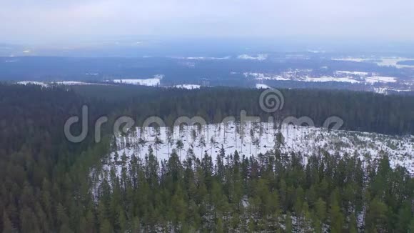 斯堪的纳维亚森林冬季无人机镜头视频的预览图
