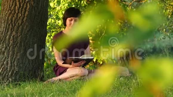 一个女孩坐在树旁看书视频的预览图