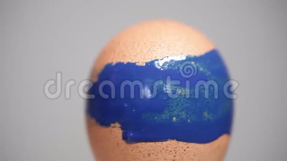 复活节彩蛋壳和蓝色画笔视频的预览图