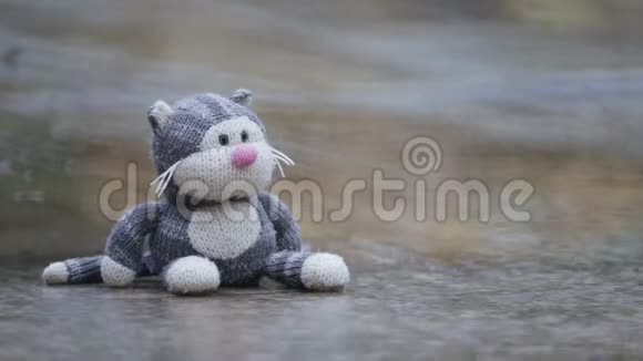 柔软的孩子玩具猫忘在雨中的水坑里视频的预览图