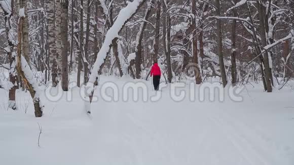 一个穿着滑雪板的女人沿着小路穿过冬季公园视频的预览图