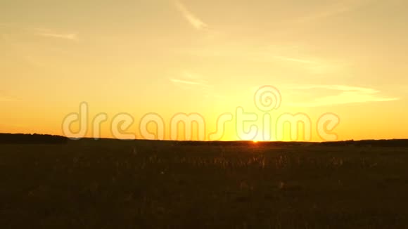 春天里的日落夏天在草原上日出太阳落在地平线上视频的预览图