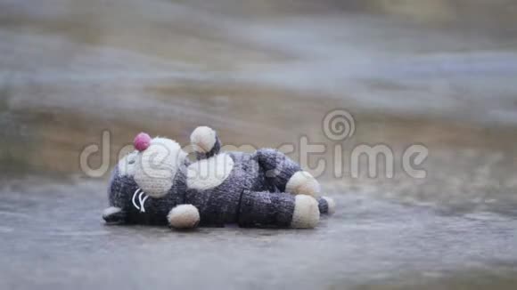 柔软的孩子玩具猫忘在雨中的水坑里视频的预览图