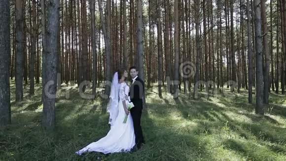 新娘和新郎在树林里摆姿势视频的预览图