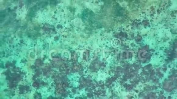 从无人机俯视透明蓝色海水鸟瞰夏日海滩清澈的海水风景视频的预览图