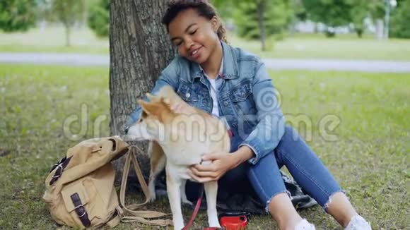 可爱的非裔美国女学生正在抚摸可爱的石巴狗抚摸坐在树下的动物视频的预览图