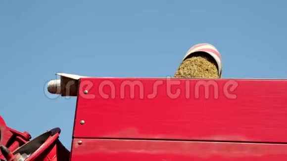 联合收割机将刚收获的小麦转移到拖拉机拖车上进行运输道具慢动作视频的预览图
