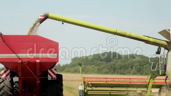 小麦田间联合收割机农机技术粮食改良作物栽培视频的预览图