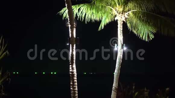 在热带海滩夜晚椰子树会被装饰的高地照明照亮视频的预览图