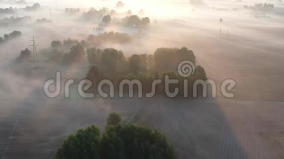 日出后有树林和田野的薄雾景观空中视频的预览图