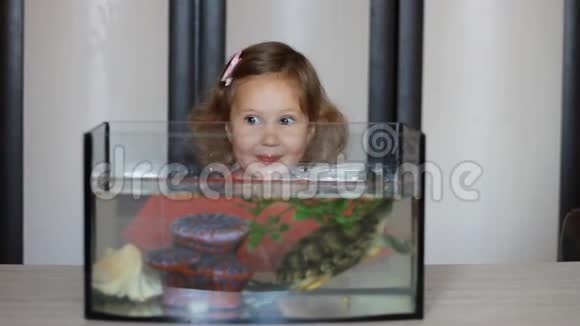 小女孩喂一只漂浮在水族馆里的乌龟婴儿和宠物视频的预览图