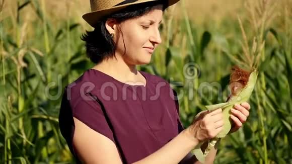 在一个阳光明媚的夏天一个戴着草帽的农民妇女在绿色玉米田的背景下特写一个农民视频的预览图