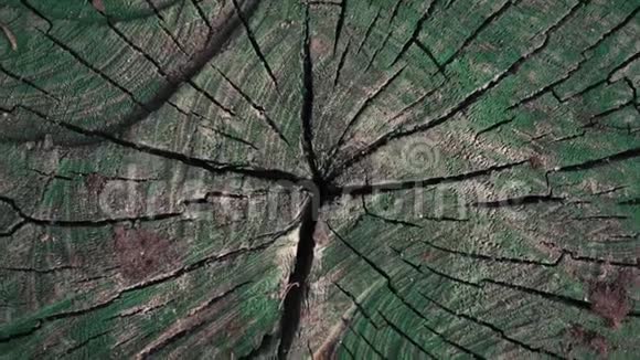 旋转射击木材纹理与旧的绿色油漆视频的预览图