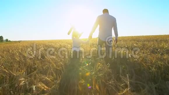 父子玩耍的剪影在麦田的夕阳下和飞机玩具一起散步家庭户外活动视频的预览图