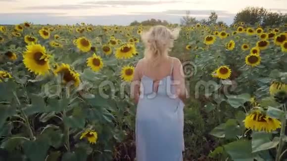 年轻的金发女郎穿着一件轻便的衣服穿过向日葵的田野走向地平线一个女人在美丽的花朵中视频的预览图