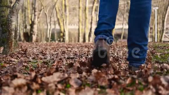 秋天在田园诗般的公园散步时人们穿过树叶一个人走在满是树叶的小路上视频的预览图