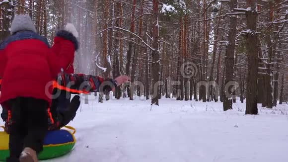 孩子们把爸爸卷在雪碟上在松林公园的雪冬路上小孩在针叶树上玩雪橇视频的预览图