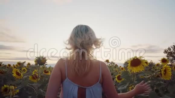 年轻的金发女郎穿着一件轻便的衣服穿过向日葵的田野走向地平线黄色花瓣的美丽花朵视频的预览图