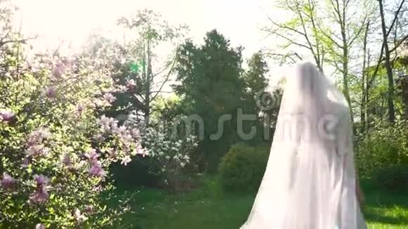 新娘在阳光灿烂的花园中慢行的后视图视频的预览图