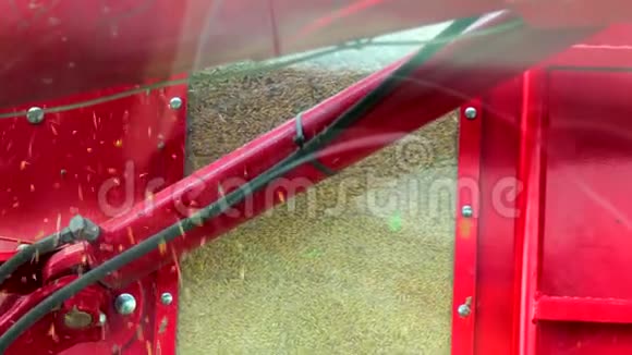黑麦倒红色拖车收割机收获时拖车里装满了成熟的金色谷物视频的预览图
