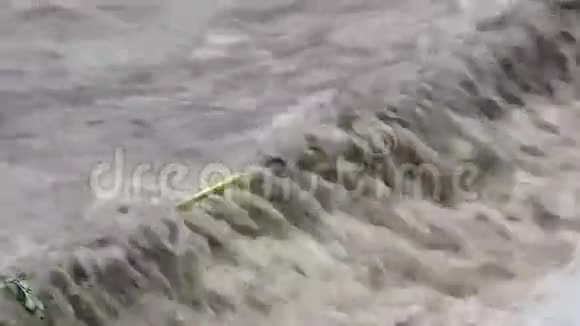 洪水视频的预览图