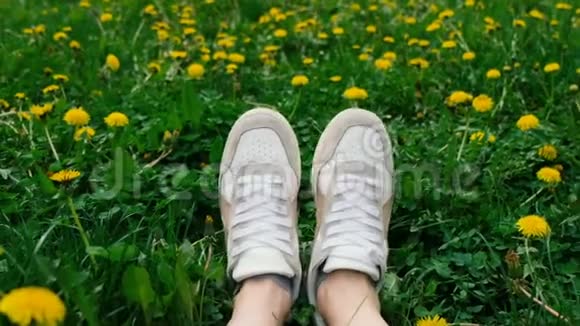 夏季概念绿色草地上穿白色运动鞋的雌鹿与黄色蒲公英视频的预览图