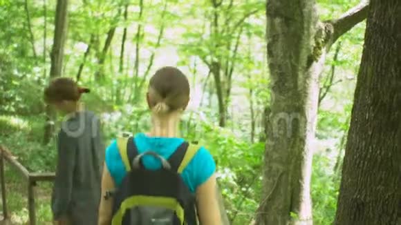 徒步旅行团的游客走下楼梯在丛林野生自然公园的山上旅游徒步旅行视频的预览图