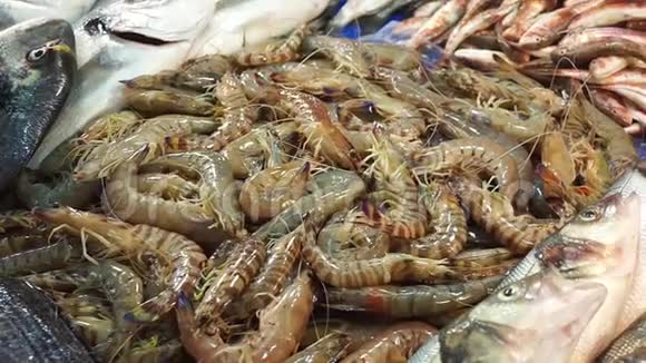 鱼市柜台上的虾视频的预览图