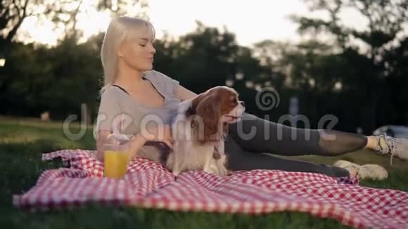 金发女人在城市公园的格子布上随意地抚摸她的狗正面观点视频的预览图