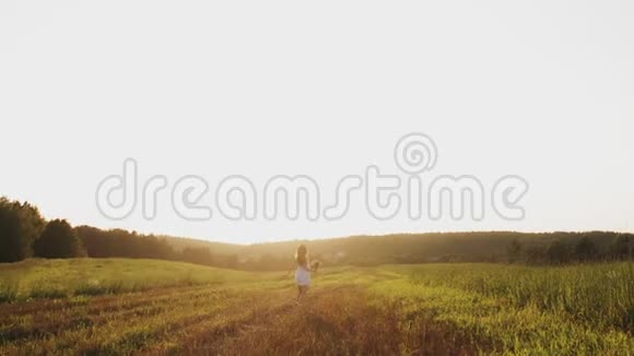 日落时分带着野花束的女孩在田野里奔跑在草地上享受自由微笑着视频的预览图