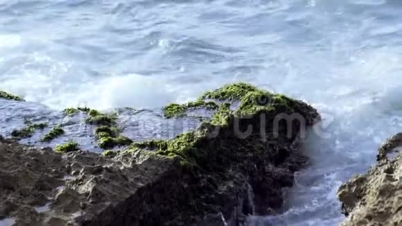 岩石海滩上的强大波浪库存录像石头被绿色的苔藓覆盖海面上波涛汹涌视频的预览图