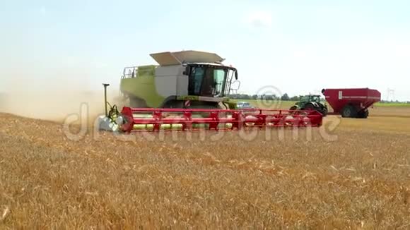 绿色收割机收集成熟玉米拖拉机在背景与红色拖车丰收的晴天视频的预览图
