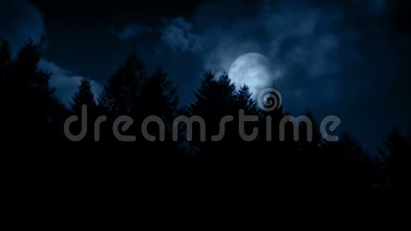 彩云笼罩满月的树木之上视频的预览图