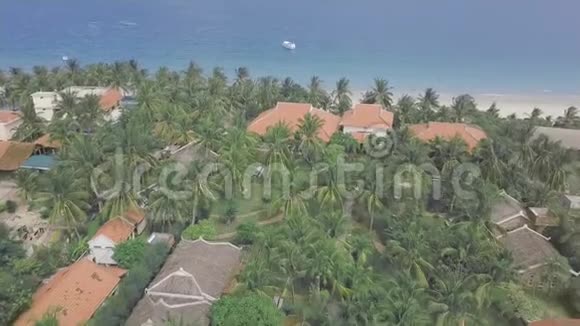 绿色棕榈树在度假酒店领土上的海滨景观从无人机鸟瞰热带棕榈蓝色海洋视频的预览图