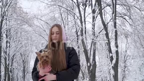 肖像少女手持一只约克郡猎犬在冬天公园的白雪覆盖的树木背景上A视频的预览图
