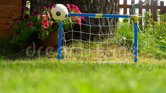 草坪上的足球玩具球视频的预览图