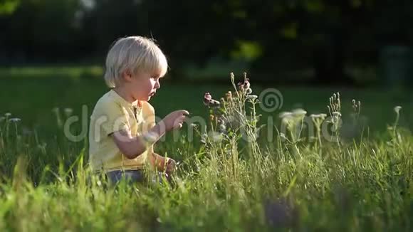 可爱的小男孩在日落时触摸草地上的花朵视频的预览图