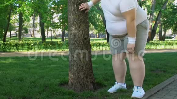 胖人呼吸急促站在树旁做运动减肥速度更快视频的预览图
