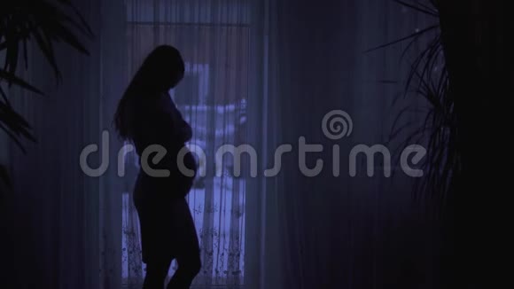 美丽的孕妇抚摸着她的腹部站在一个黑暗的房间里窗户俯瞰着一个下雪的后院妇女视频的预览图