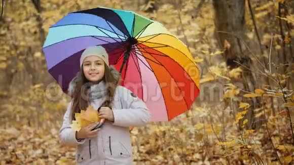 一个女孩带着雨伞在秋天的森林里散步视频的预览图