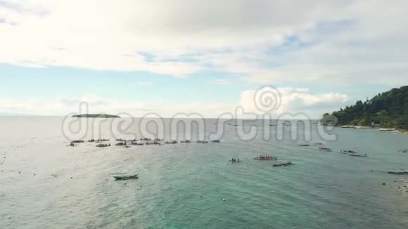 空中观景船与游客为野生鲸鲨在海上漂浮无人机视觉为帆船提供食物视频的预览图
