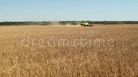 现代联合收割机在田里收割小麦农业场景Prores慢动作视频的预览图