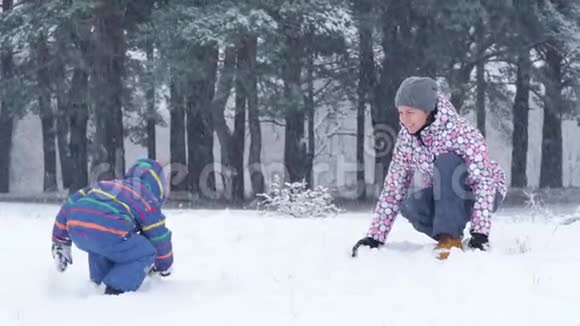 妈妈和孩子在冬季公园的背景下玩雪球视频的预览图
