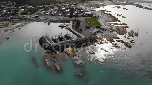 新西兰南湾视频的预览图