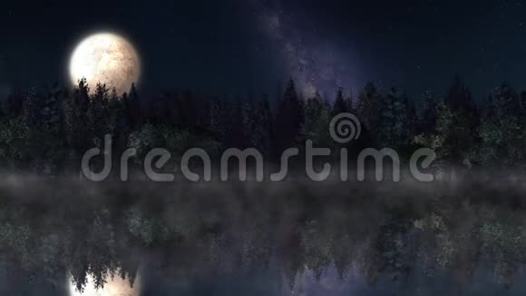 月光下的雾视频的预览图