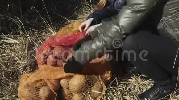 为野生动物在草地上分拣土豆视频的预览图