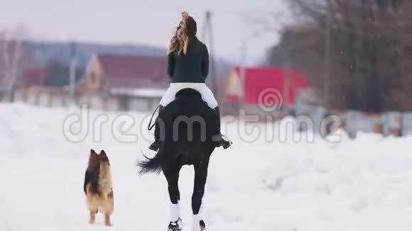 一个女人骑着马在一个村子里狗从他们身边跑过来视频的预览图