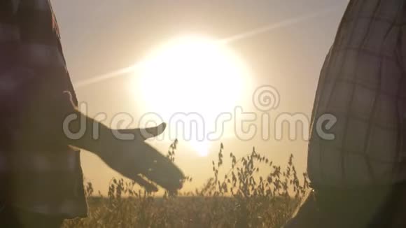 田野背景夕阳下两个农民的握手视频的预览图