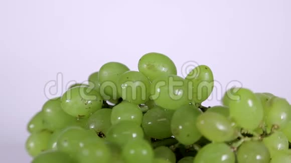 在桌子上旋转的水滴中的绿葡萄浆果视频的预览图