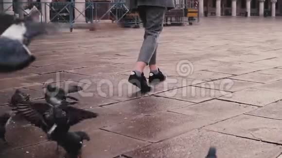 快乐兴奋的女游客带着相机走在老城市广场和成群的鸽子在威尼斯意大利慢动作视频的预览图